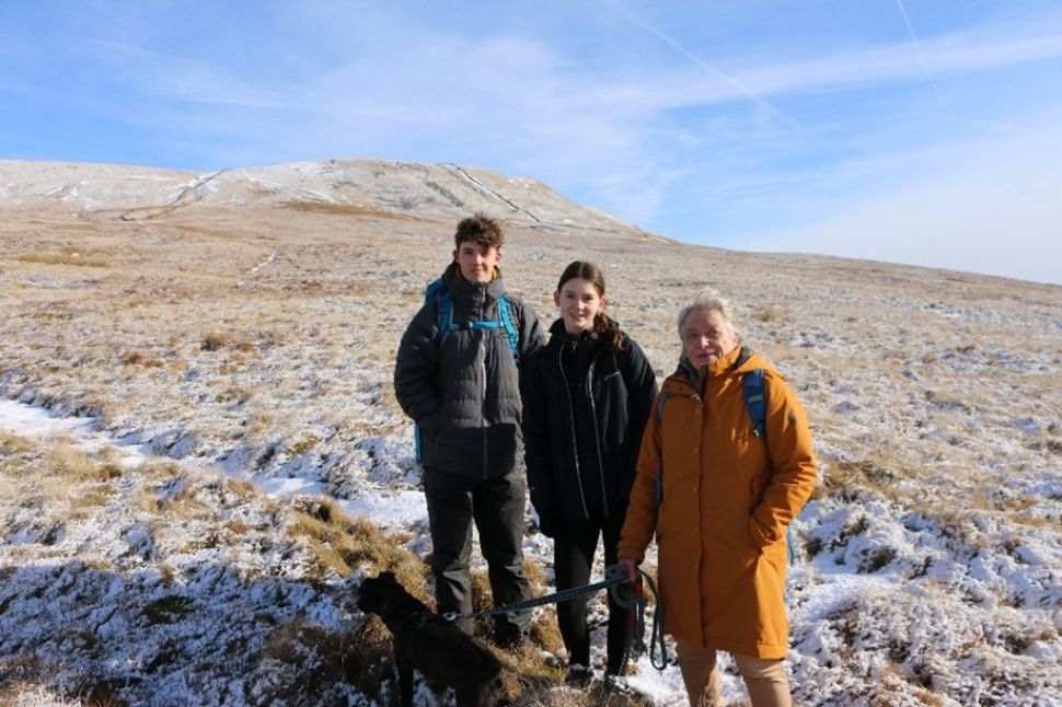 Wild Garsdale Pike Dream Placement