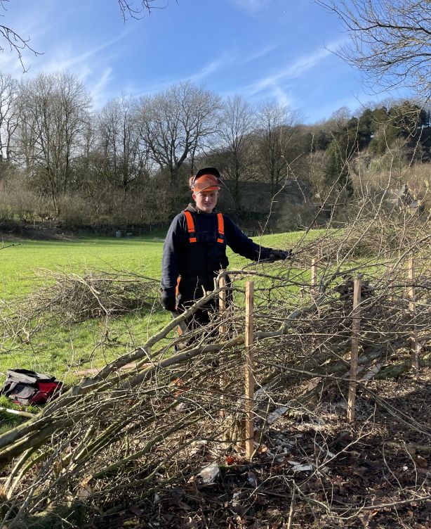 Friends of the Lake District_hedge laying_AllUsage