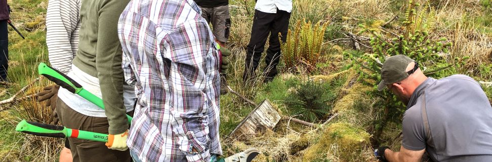 Tree planting Leeds Uni restoring Hardknott_AllUsage