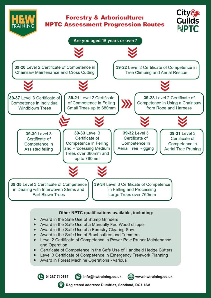 HW Training Course progressions