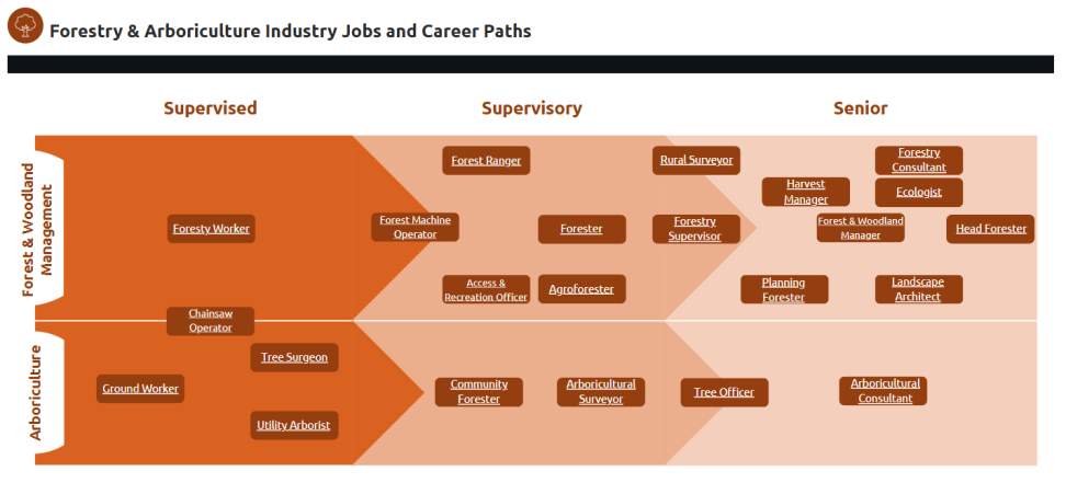 Screenshot 2025 06 17 132820