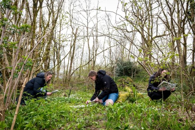 Ambleside Ecology students