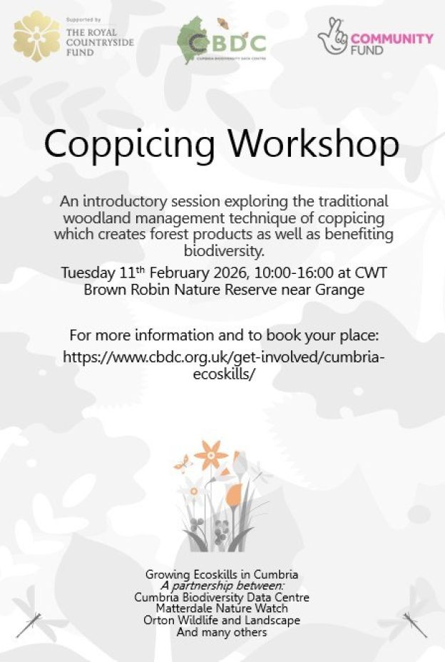 Coppicing workshop