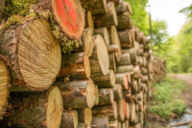 Pile of wood 766737 1280