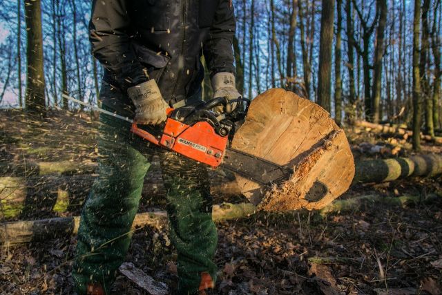 Wood 4666600 1280