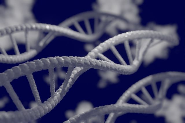 Dna 5297378 1920