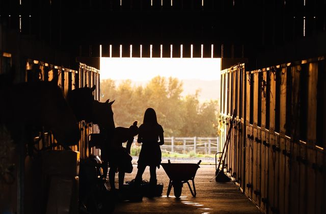 Stable 4426781 1280