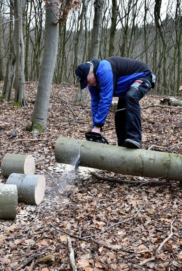 Lumberjack 2146515 1280