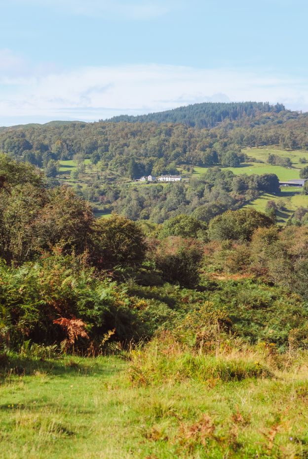 Barkbooth Nature Reserve