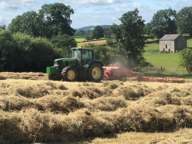 Hay time Elizabeth Barker Bolton Cumbria