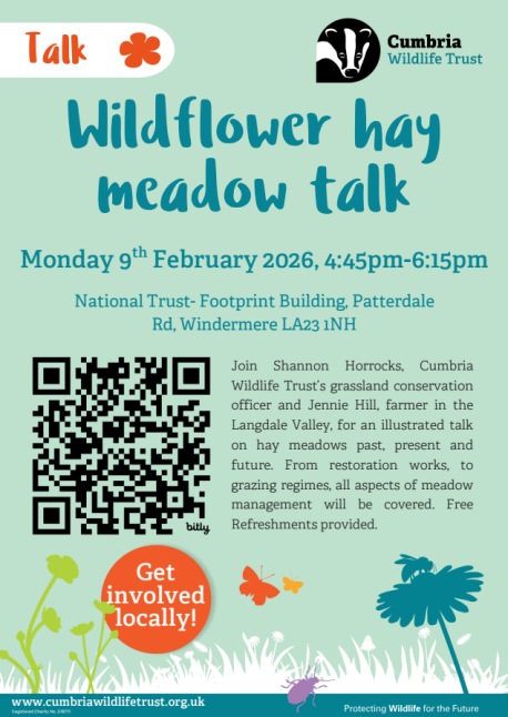 Windermere hay meadow