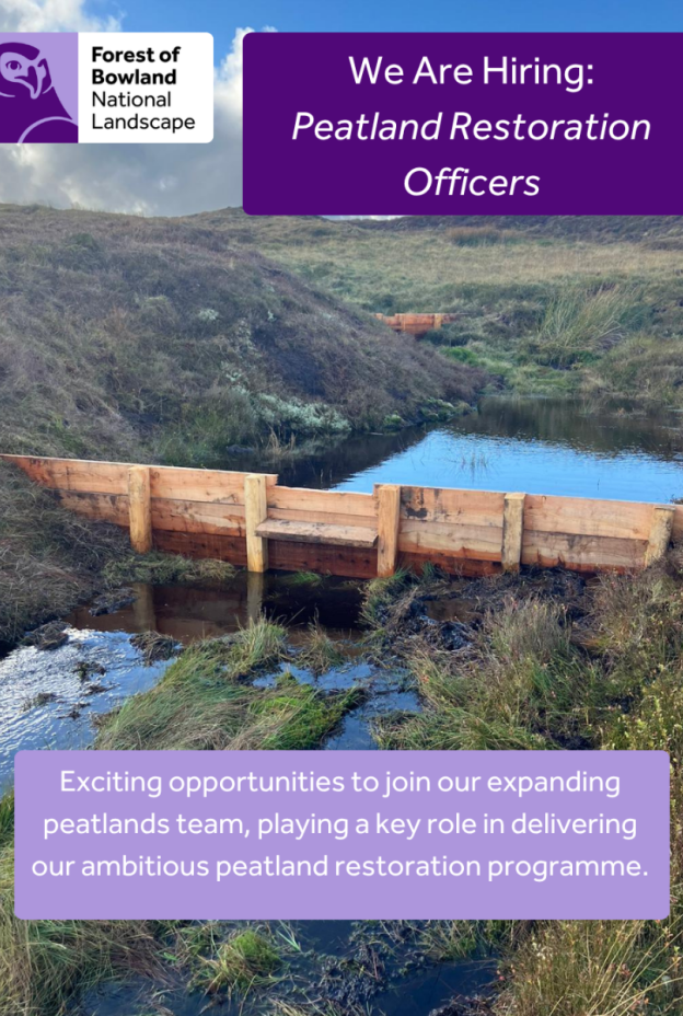 Peatland job opportunities