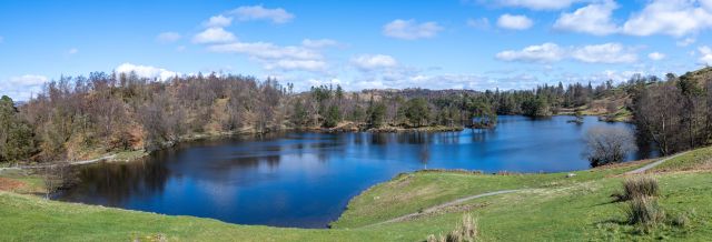 Guided walk 2024 Coniston woods tarns and gills 24 March 2024 Nicky Beeson 23 3