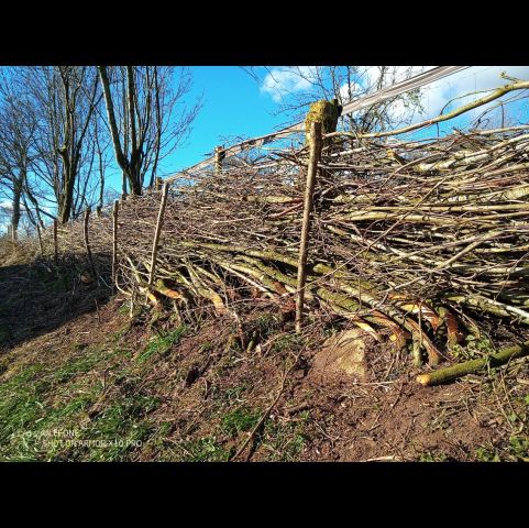 IMG 20230307 151125 880 resized 1