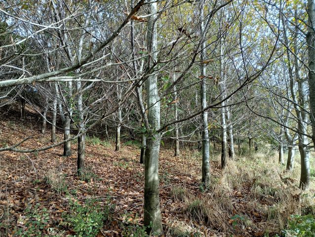 IMG 20251020 122718 816