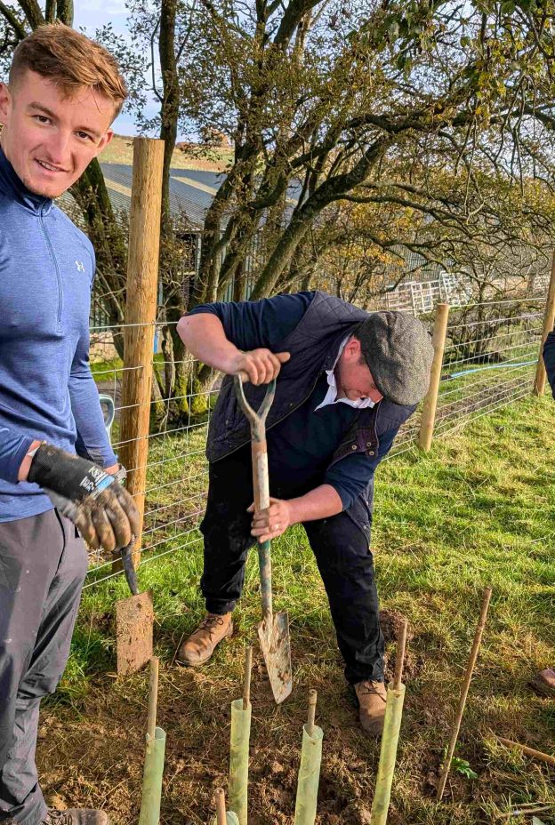 Hedgeplanting Alpacaly Oct 24 Vols in action and looking mres