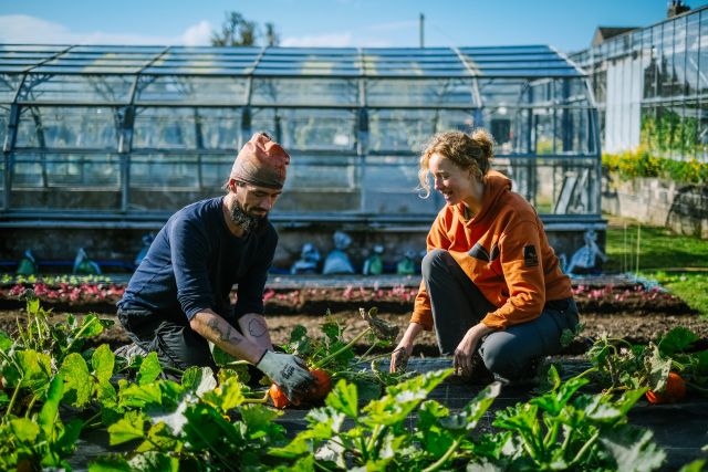 GROWING WELL EGREMONT 2024 428