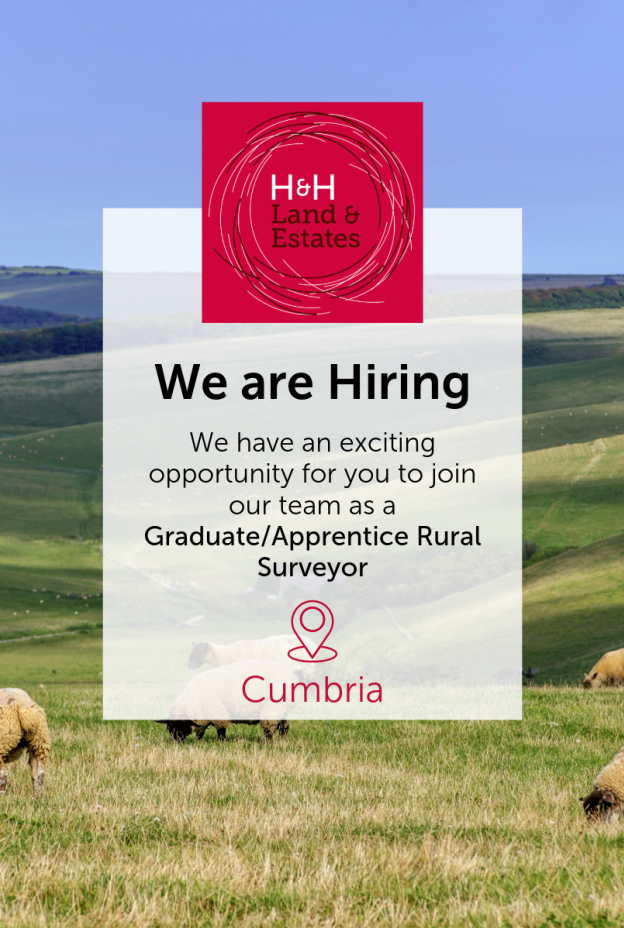 Hiring Posts Graduate