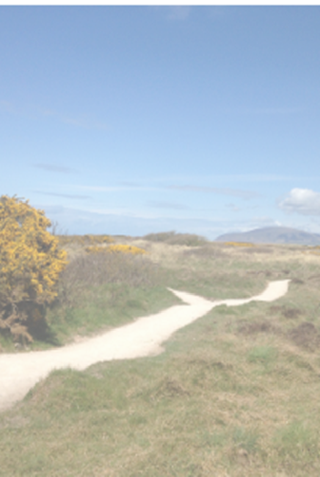 N walney image
