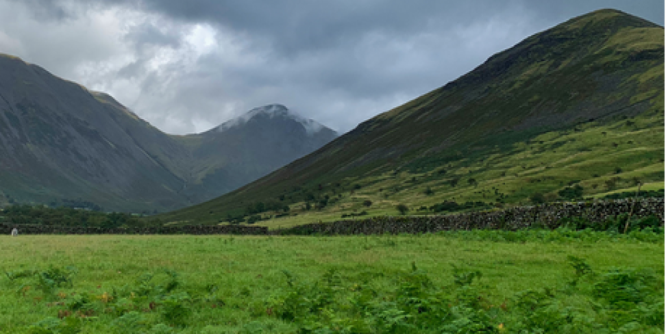 Mountians and Field Nature Megan