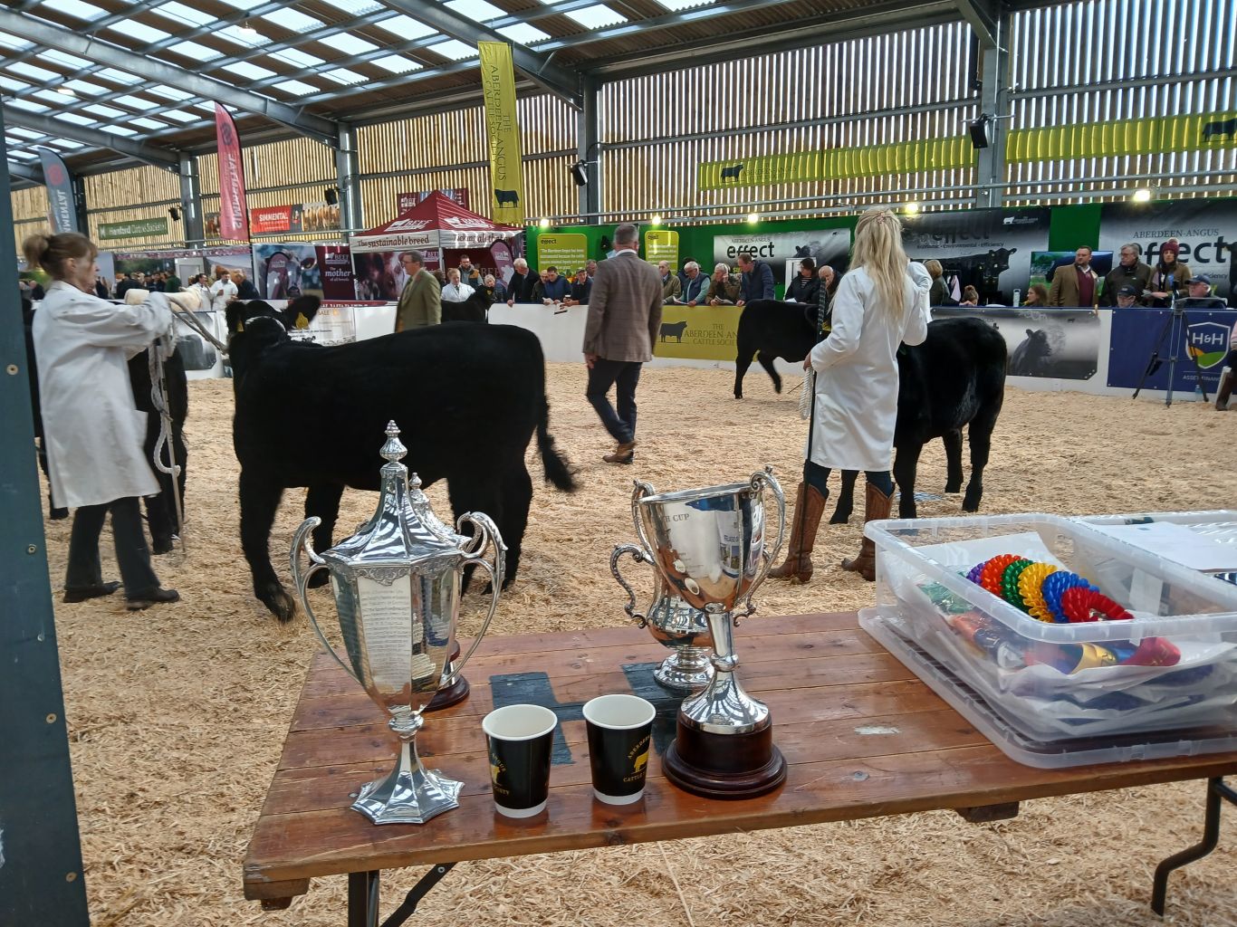 Trophies and rosettes agriexpo