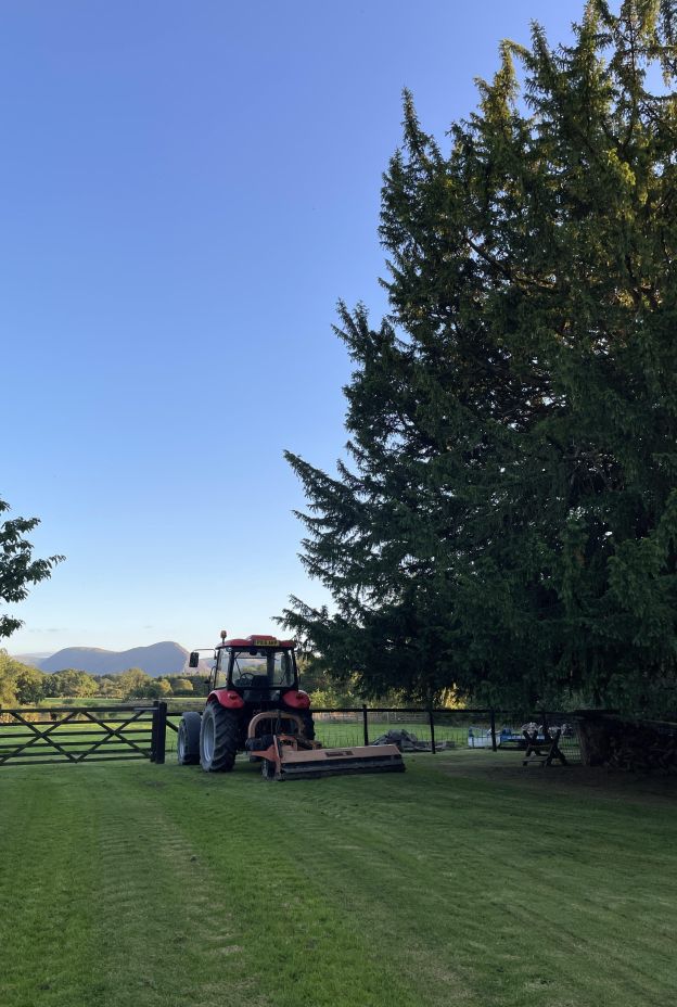 Tractor Field Yew Tree_Geneve Brand