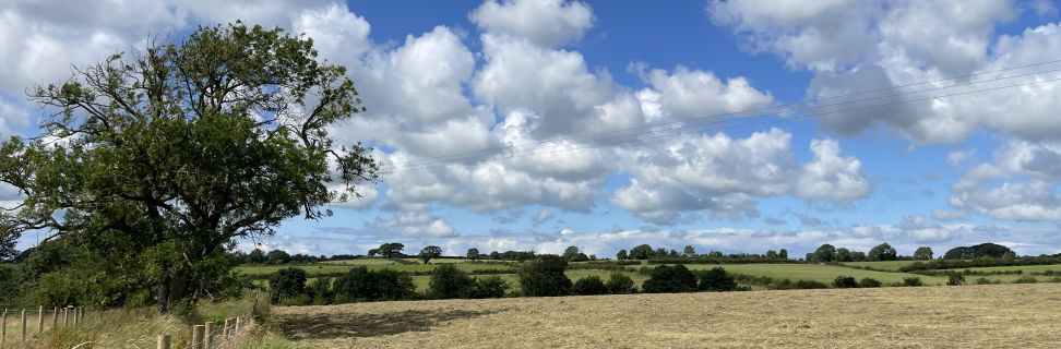 Fields Fence Landscape Background 4_Geneve Brand