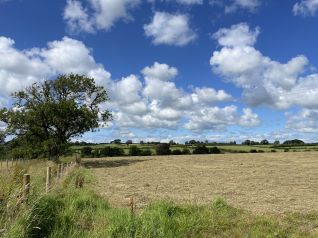 Fields Fence Landscape Background 4_Geneve Brand