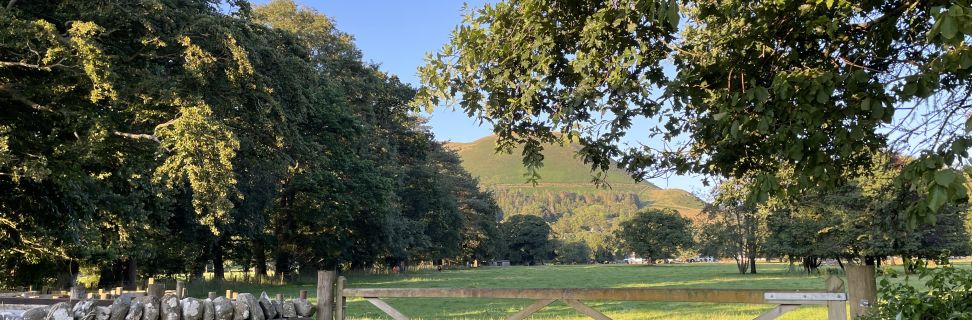 Fields Gate Farm Trees_Geneve Brand