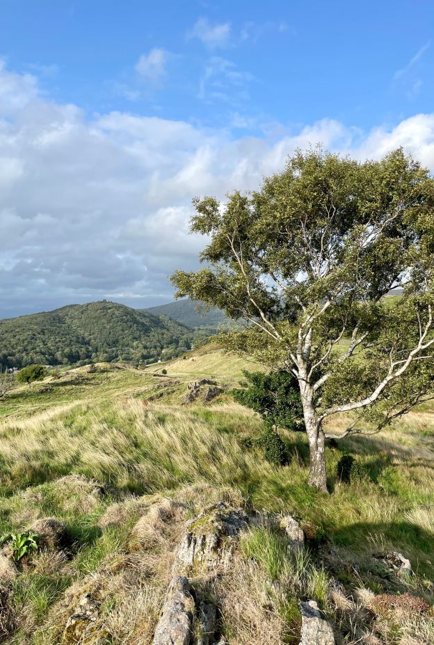 Landscapes and mountains Geneve Brand 4