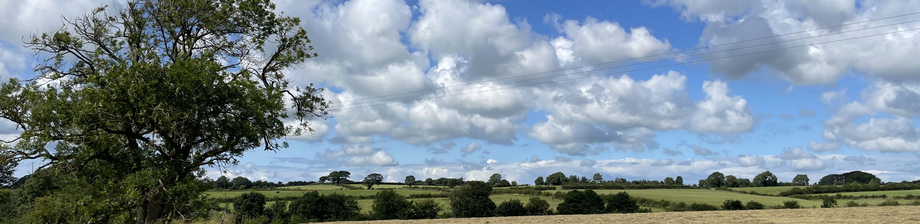 Fields Landscape_Geneve Brand