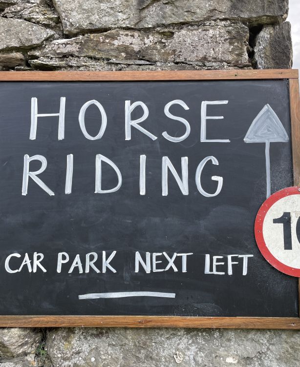 Horse riding sign Geneve Brand