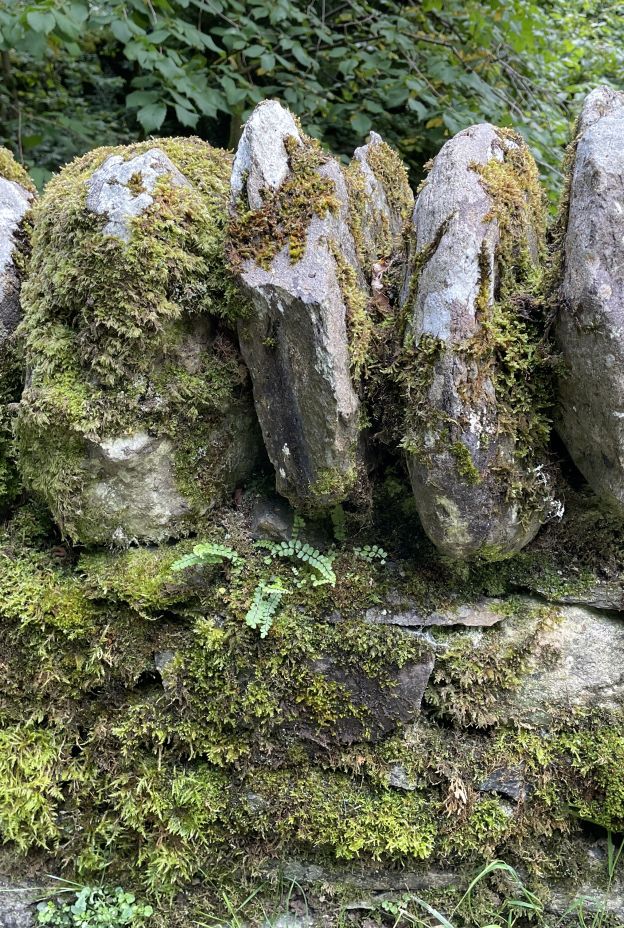 Dry stone wall Geneve Brand