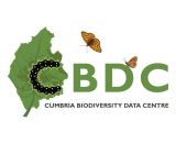 CBDC small LOGO