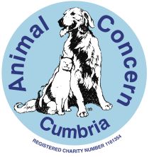 Animal Concern Cumbria